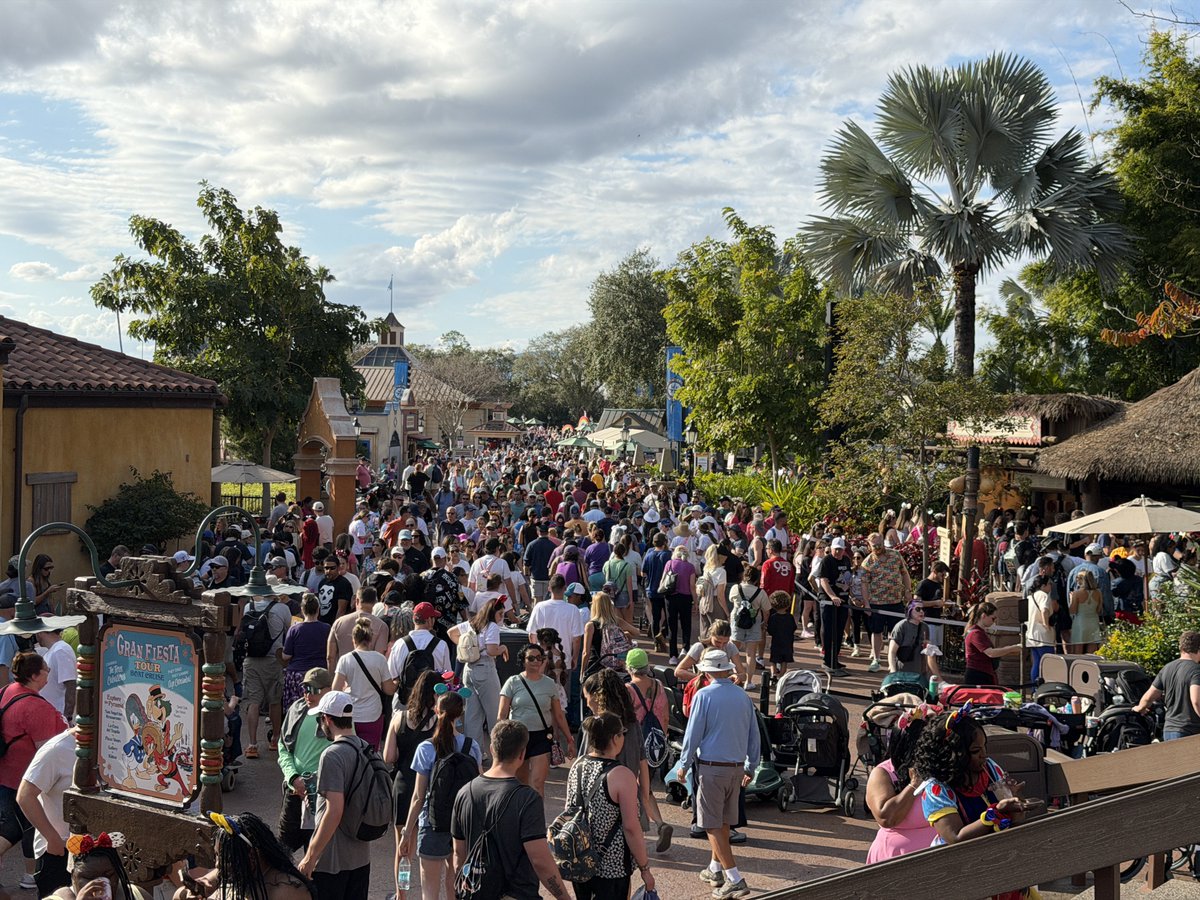 Alicia Stella tweet media