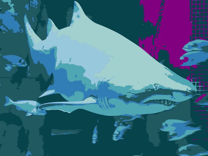 NubesDesign's tweet image. Art of the Day! "Shark vector derivation". Buy at: ArtPal.com/nubesdesignch?…