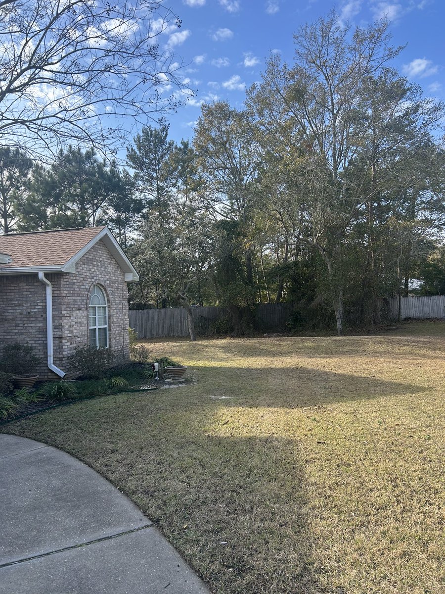 William UNT tweet media