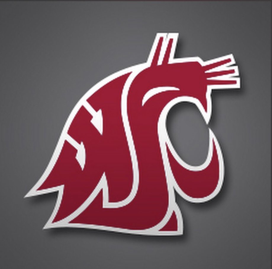 Cameron Saunders 3⭐️ tweet media