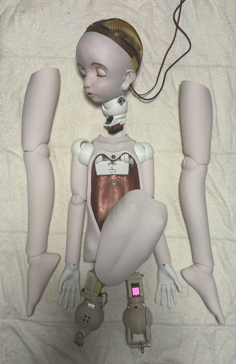 橘明@2/8WF2026冬出展、ブース4-08-14 (@DollTachibana) / Posts / X