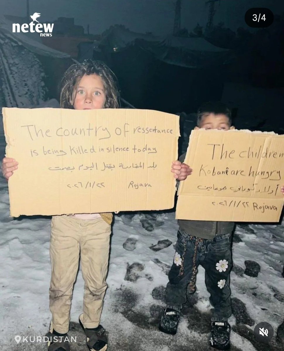 helena_Demhat04's tweet photo. This is a call to all peoples of the world.
An urgent humanitarian corridor must be established in Kobanê.
S.O.S‼️🚨

#HumanitarianCorridorForKobane
#HelpForRojava
#KobanêUnderSîege 
#Konanêicininsanikoridoracilsin https://t.co/cs9L6IU5Ww