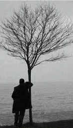 •
" اختر بعناية من تزرعهم في قلبك، فاختيار  البذرة أسهل بكثير من إقتلاع الشجرة "

ــــــــــــــــــــــــــــــــ❁❁ــــــــــــــــــــــــــــــــ