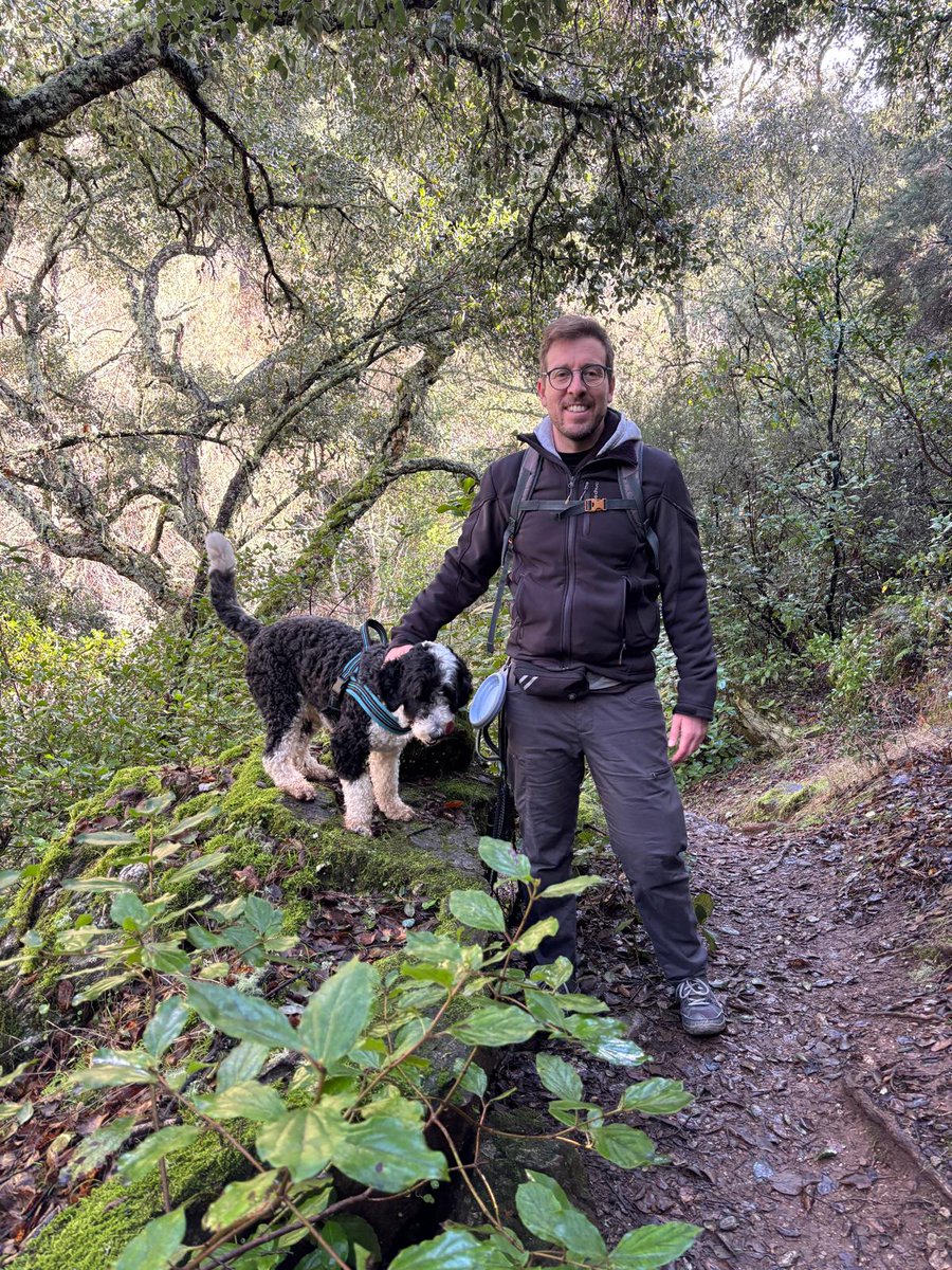 Curry Toscano Rodero tweet media