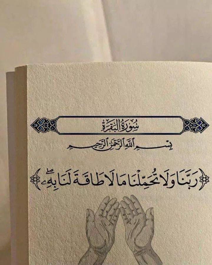 saro00ss's tweet photo. @eabira3 https://t.co/9t0P3aO5AR