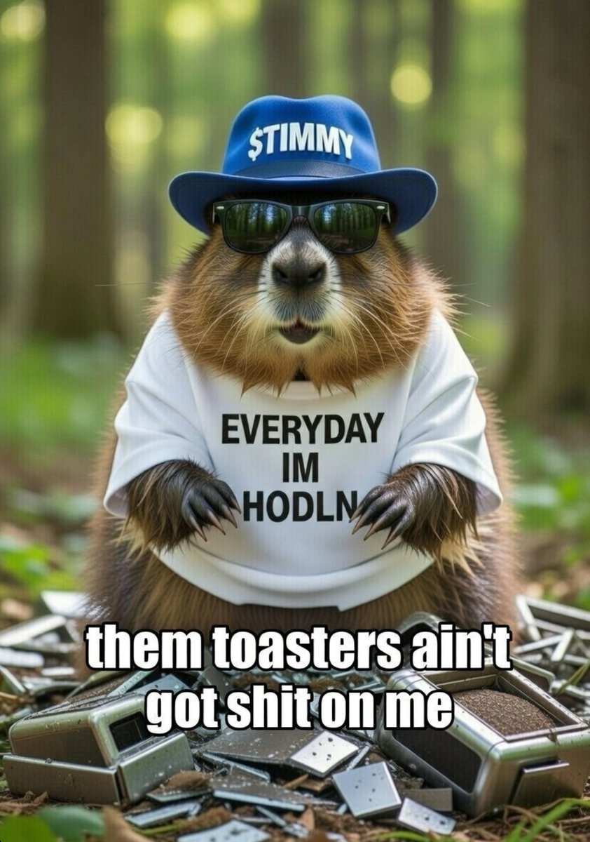 $TIMMY $TIMMY $TIMMY 
Can't you see ? Some how your memes just hypnotize me and I just love your punnie way this is why your coin is here to stay!!