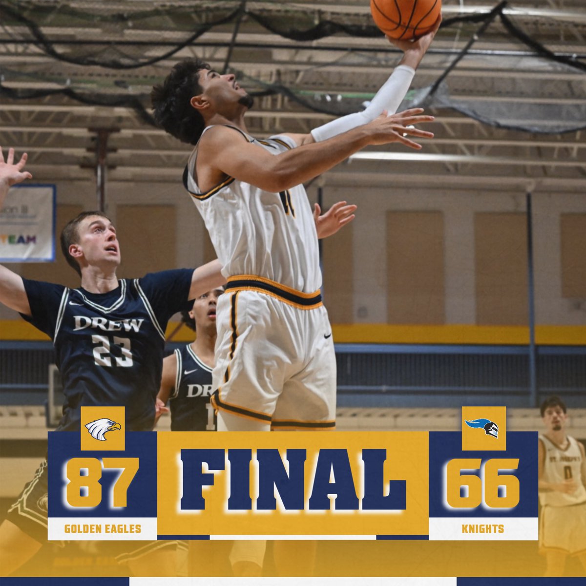St. Joseph's NY Golden Eagles tweet media