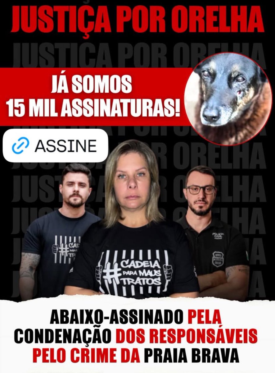 kaarolzx's tweet image. 👊🏻 VITÓRIA!
As assinaturas no ABAIXO ASSINADO pela condenação dos 6 adolescentes MULTIMILIONÁRIOS que assassinaram o cachorrinho idoso ORELHA a pauladas já passam de 15 MIL assinaturas. É muito mas precisamos de mais.
🔥 Assine agora: gabinteligente.com.br/leads/abaixo-a… #JustiçaPorOrelha