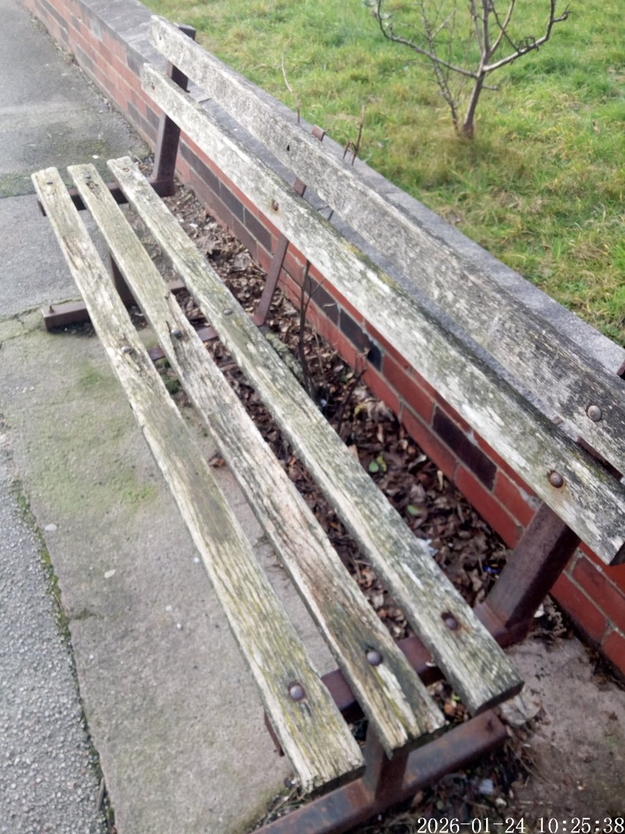 Lewis-Simon-Camilton tweet media