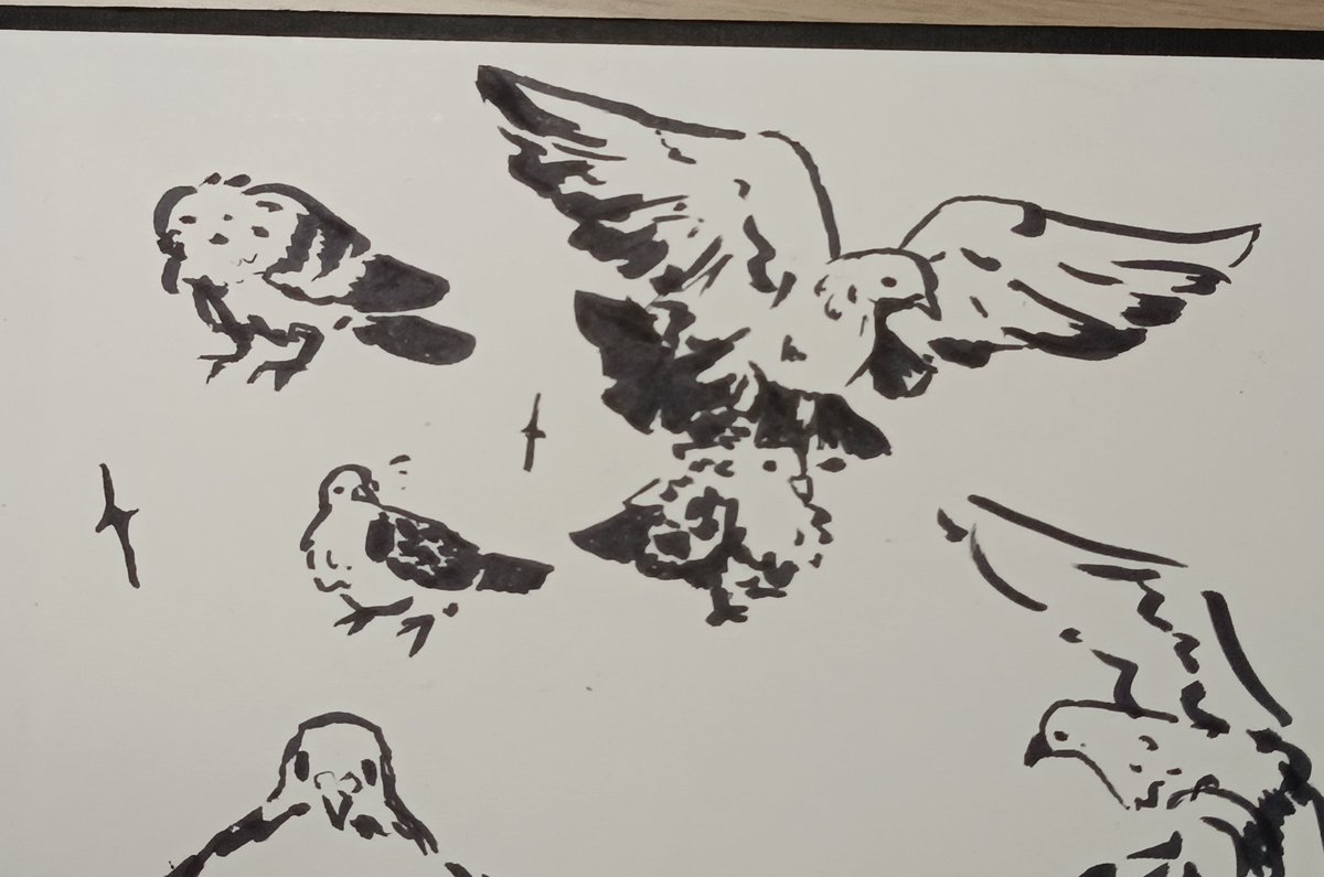 sheo_draw's tweet photo. 🐦 https://t.co/rgi23QeDPc