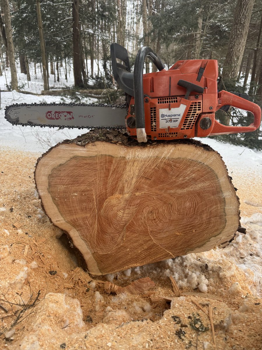 DallasGarzel's tweet image. Tree work