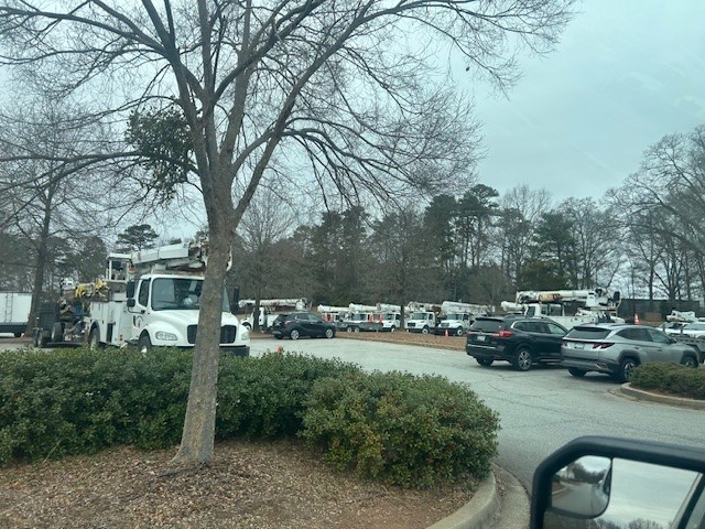 Public Information tweet media