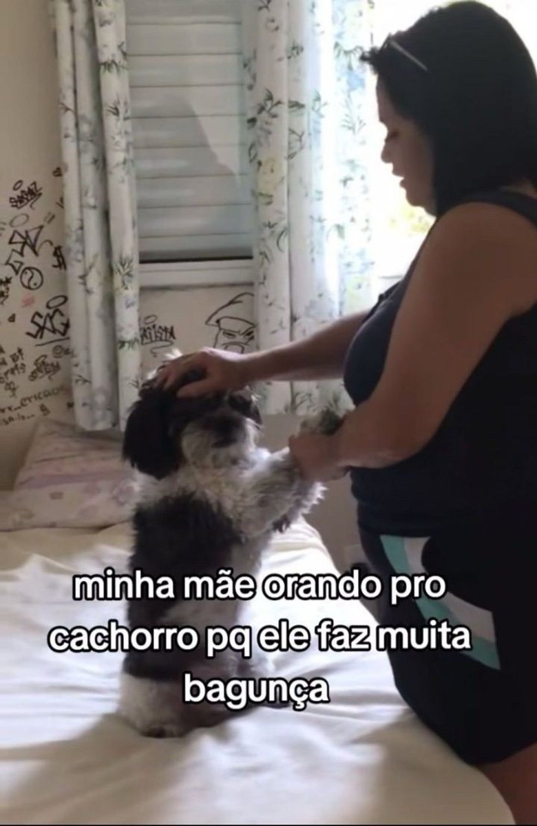 5gramasdememes's tweet image. 🌟