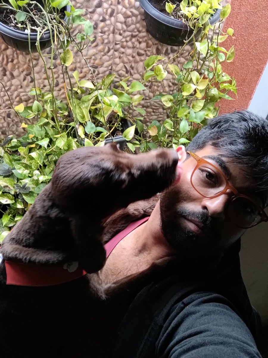 joao thee arthur tweet media