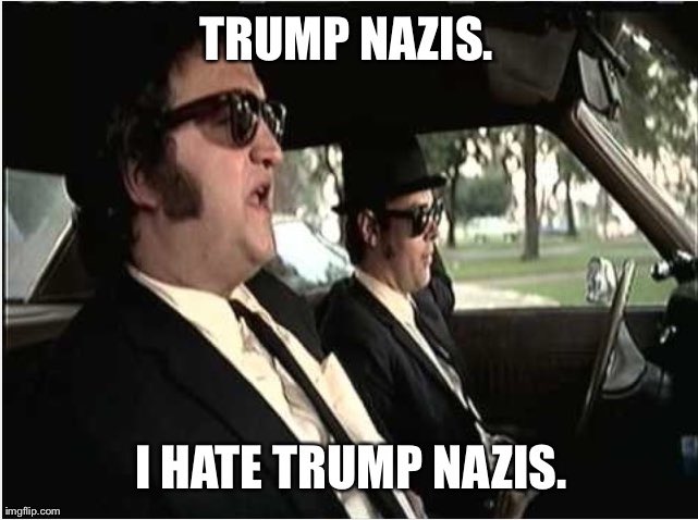 RichardBro87057's tweet photo. @acnewsitics #TrumpsNazis https://t.co/7SPgaFC6rH
