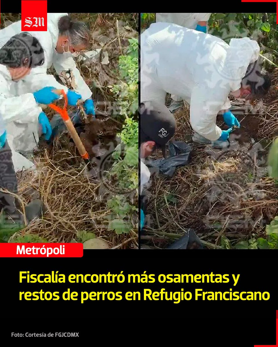 El Sol de México tweet media