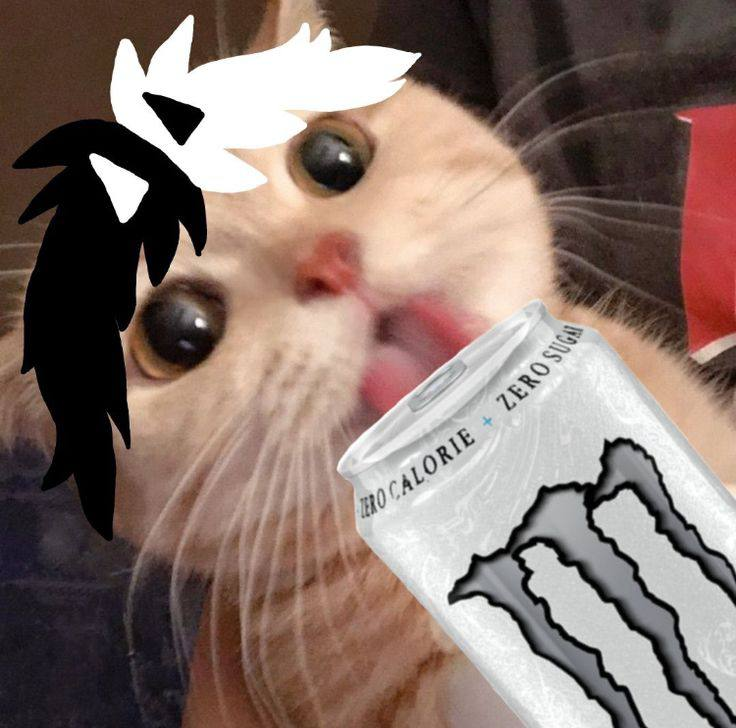 hyperborecat's tweet image. crack the can twin

lets ascend to Agartha