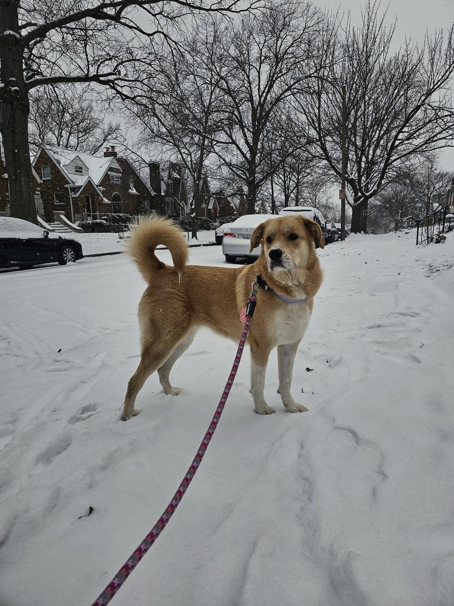 Ricky Knuckles tweet media