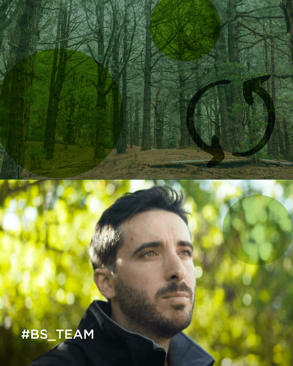 👷🏽👷🏽‍♀️ En Bosques Sostenibles diseñamos cada proyecto desde el rigor técnico y el conocimiento del territorio. Solo así garantizamos reforestaciones funcionales y duraderas, hoy y en el futuro.

📐 Jesús David Sánchez · Dpto. Técnico
🔗 bosquessostenibles.com/about-us/jesus…

#JoinForTheFuture