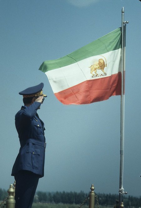 🟪 AMIR tweet media