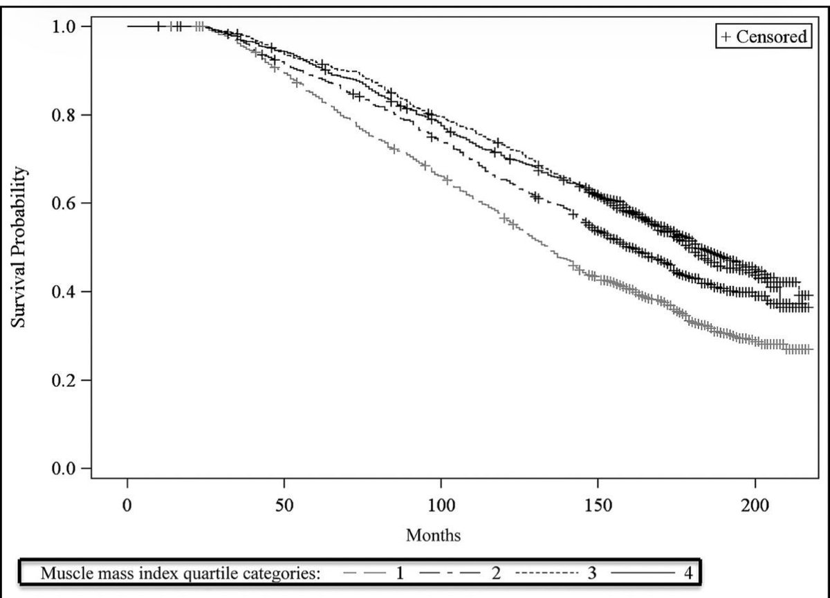 davidasinclair's tweet image. Muscle mass predicts survival better than BMI in older adults
sciencedirect.com/science/articl…