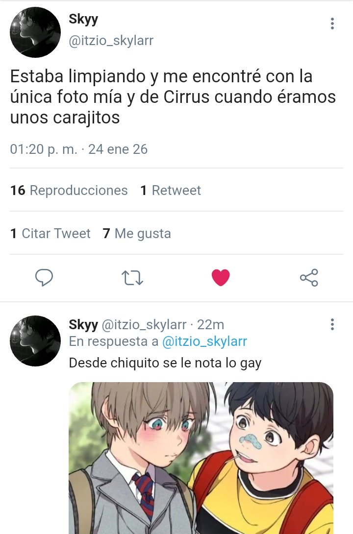Ephi_san's tweet photo. AU  ゛#skyrrus #litc ⸝⸝.ᐟ⋆
Donde skyrrus se conocen desde pequeños O... 

Donde Cirrus se enamora primero, pero Skylar se enamora más fuerte https://t.co/h3sA5WfbFy