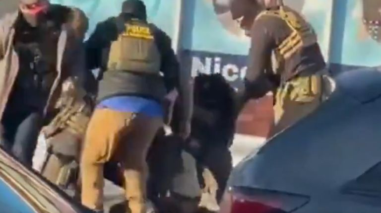 ProtestiaNet's tweet image. Insurgency News: Video Shows Pretti Drawing Firearm While Resisting insurgencynews.com/2026/01/24/vid…