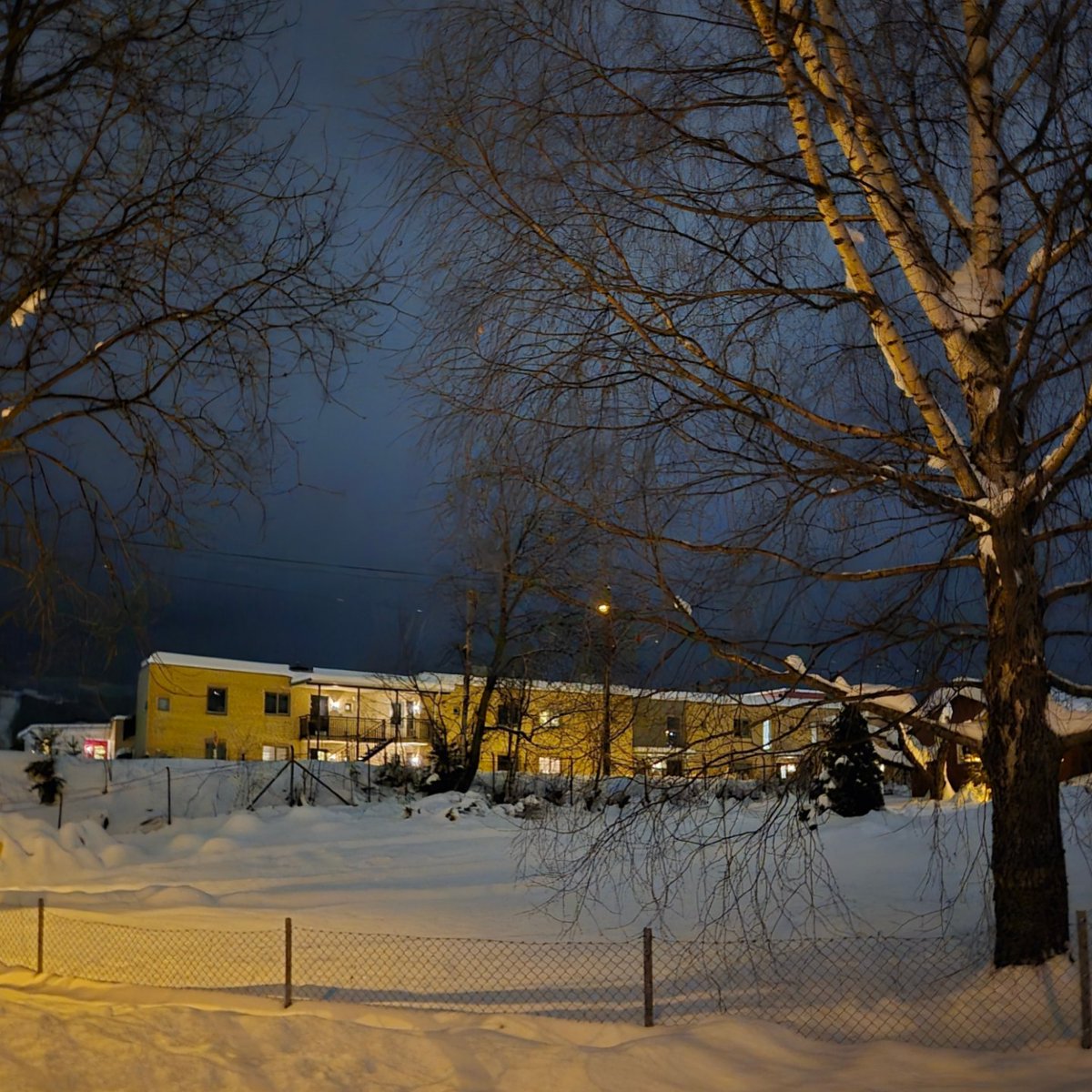 Doramusicana's tweet photo. Lights in windows brighten up dark winter days 🌃❄️ #lights #Windows #buildings #darkevenings #wintertrees #winter2026 #januaryiscomingtoanend https://t.co/J35cNJlRwi