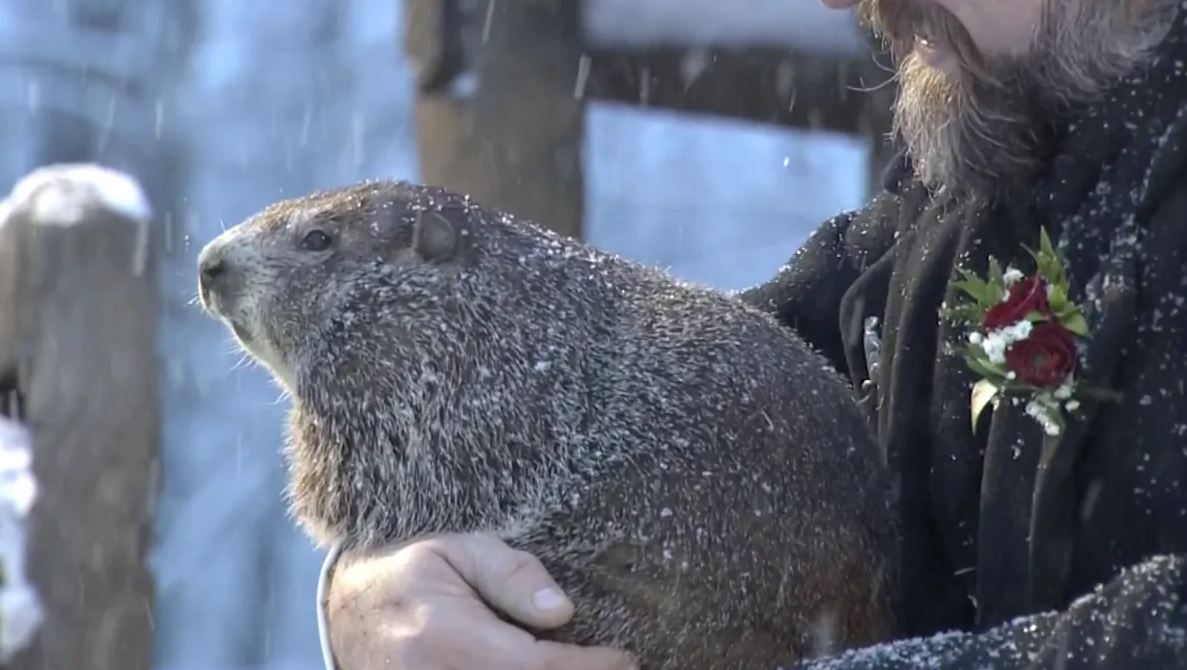 The Order of Aquilifers tweet media