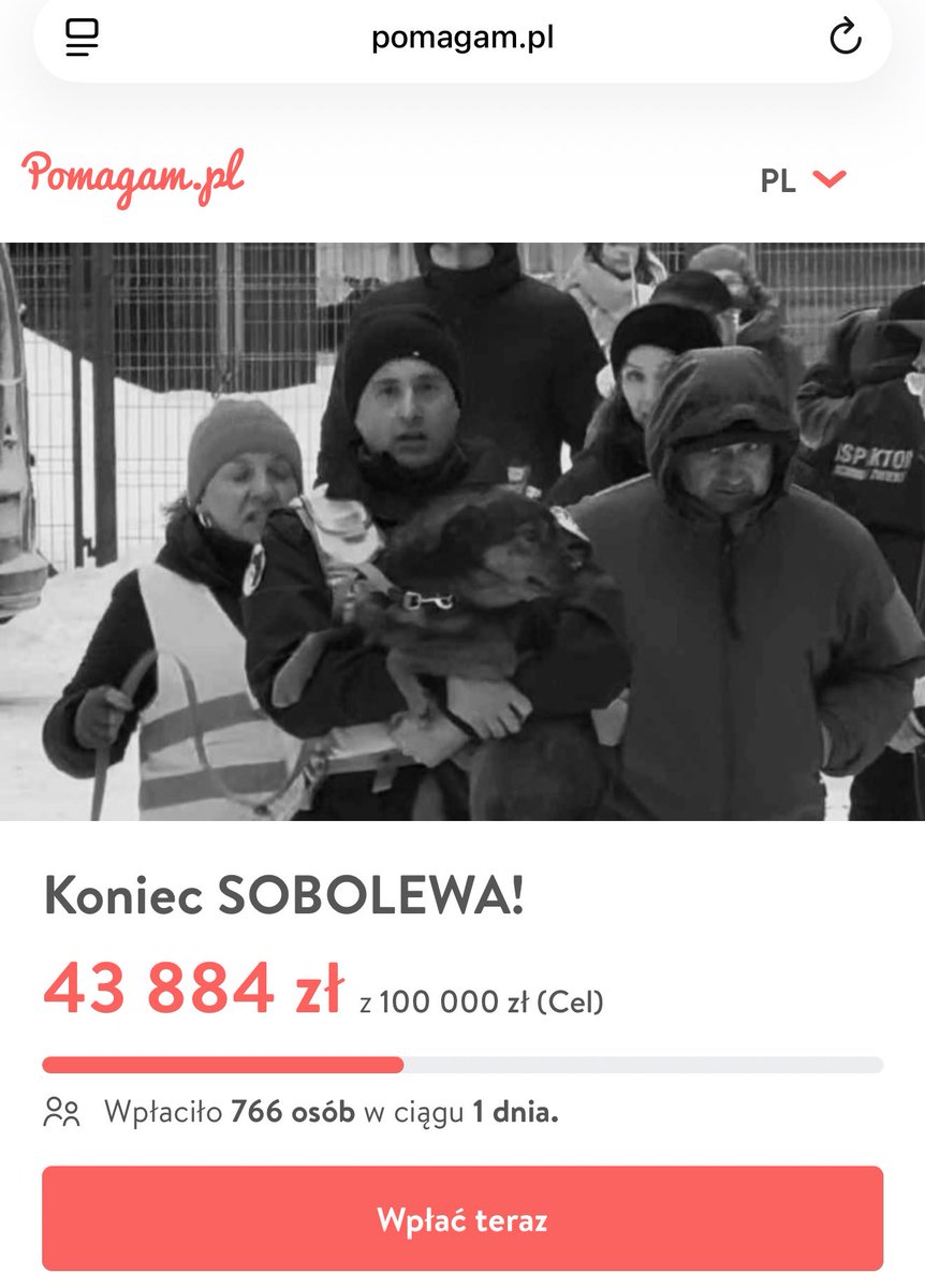 coolfonpl 🇵🇱 tweet media