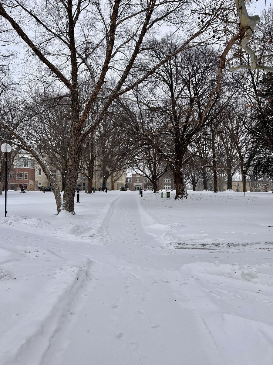 Meredith J Lawson tweet media