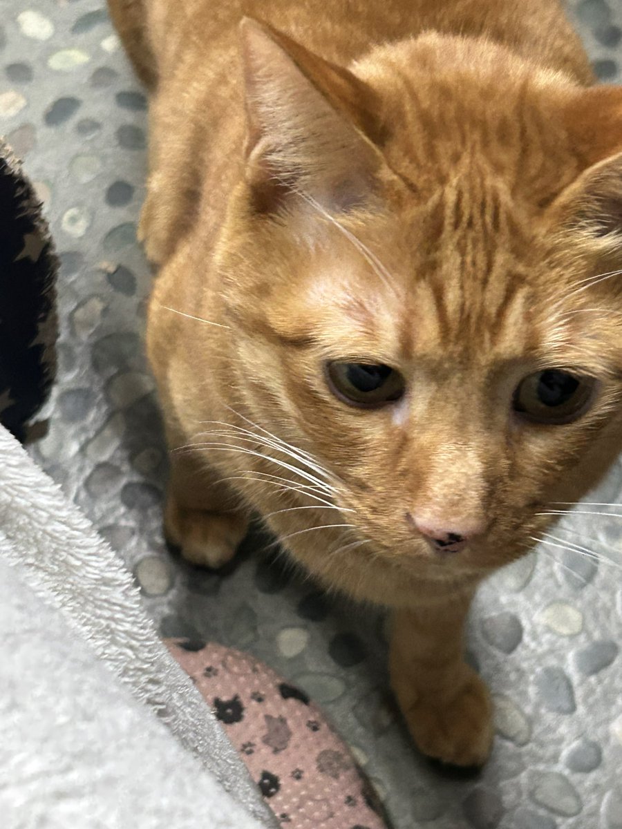 H I R O M I (@HIROMI66136439) / Posts / X