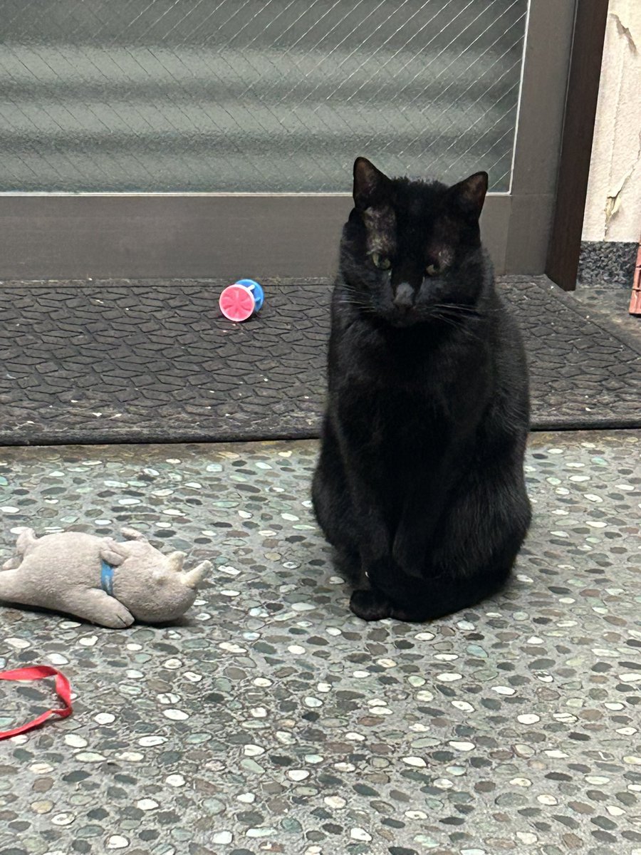 H I R O M I (@HIROMI66136439) / Posts / X