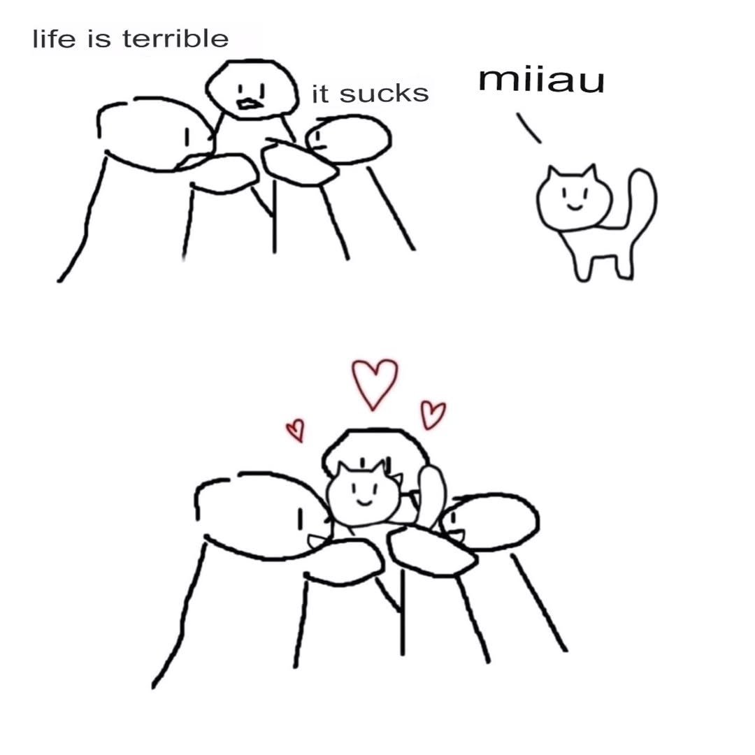 PunchingCat's tweet image. 