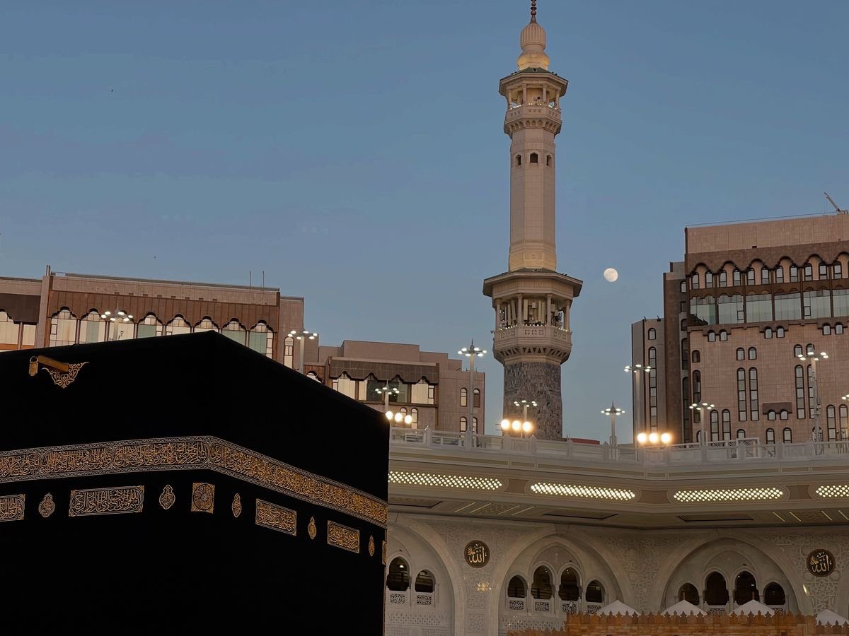 عَلْقَّمة|فَصِيح tweet media