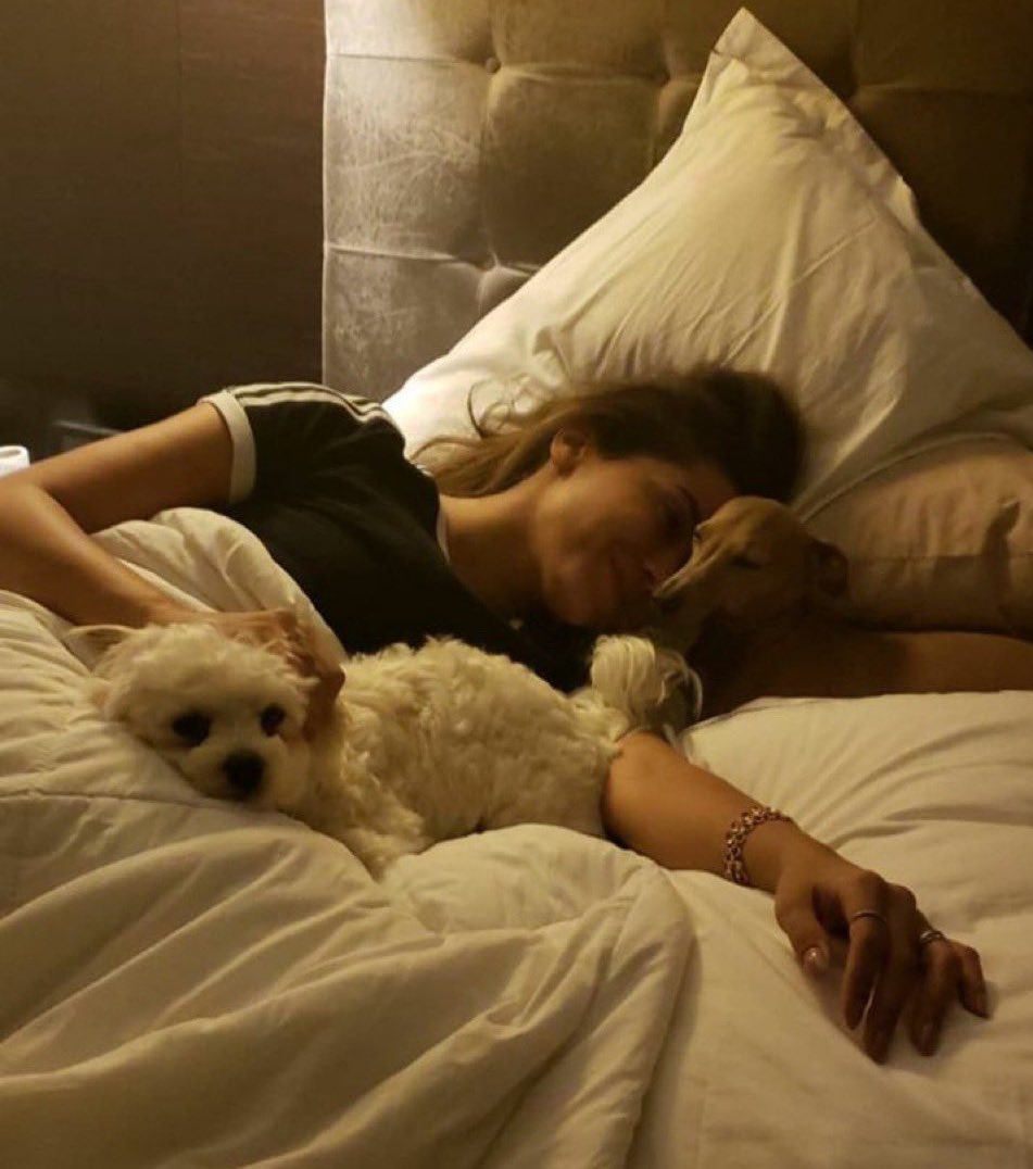 anittagolden's tweet image. 🚨 ANITTERS, ASSUNTO SÉRIO!

Todos nós sabemos como Anitta ama animais e considera seus cachorrinhos como filhos, recentemente aconteceu um caso absurdo, onde adolescentes espancaram  e fizeram crueldade com um animal dócil e indefeso. Juntem-se a tag.

#JustiçaPorOrelha