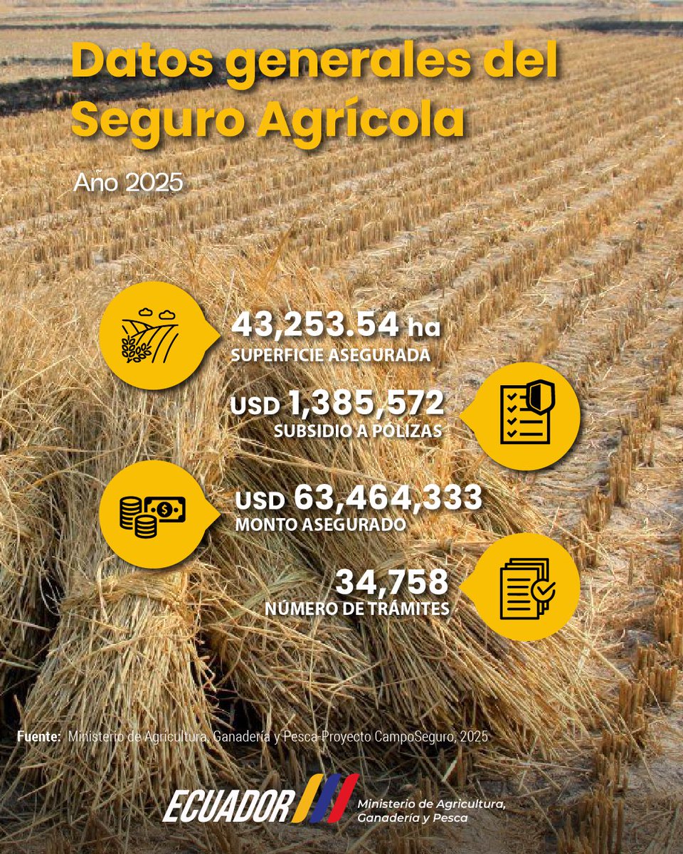 AgriculturaEc's tweet photo. 📢 Si estás buscando información estadística del seguro agrícola por provincia, rubro y más variables, ingresa al #SIPA y descúbrelas.
Estadísticas sectoriales claras y confiables a través del #MAGP.
¡Ingresa ya! 👉 https://t.co/Wa52o3c6mq 📈🌱 https://t.co/mbVbBllYhR