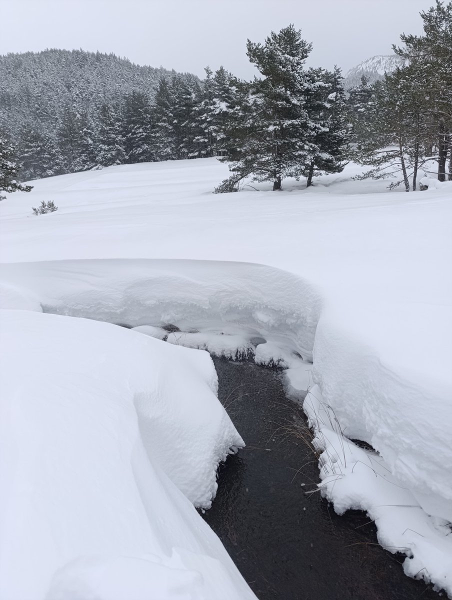 meteocadí tweet media