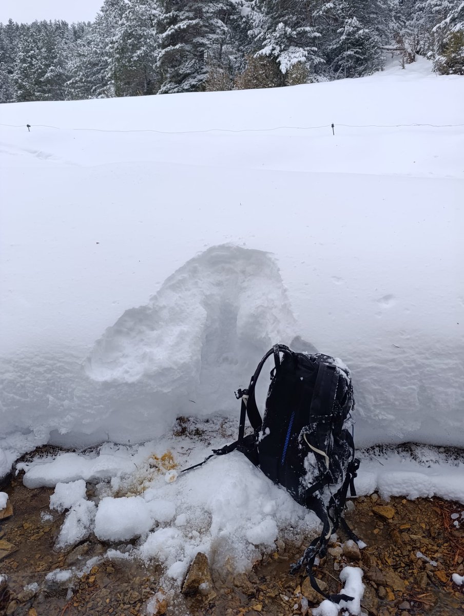 meteocadí tweet media