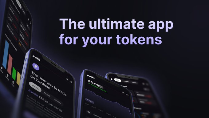 Poki Portfolio tweet media