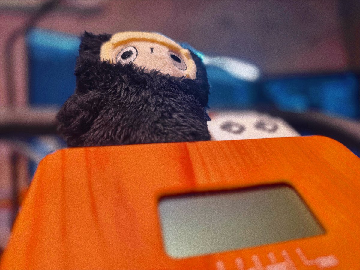 お菊 (@__Lizel) / Posts / X