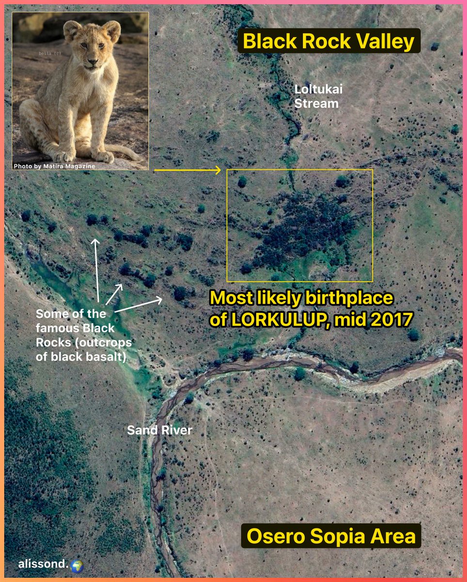 Most likely birthplace of LORKULUP, mid 2017. Rest in peace, Lorkulup!