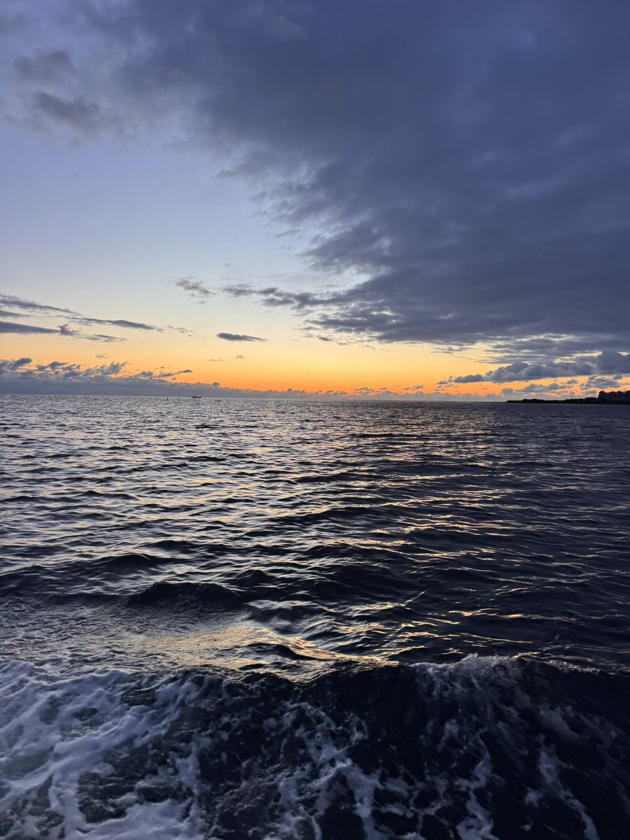 ZeusDisc's tweet image. いざ