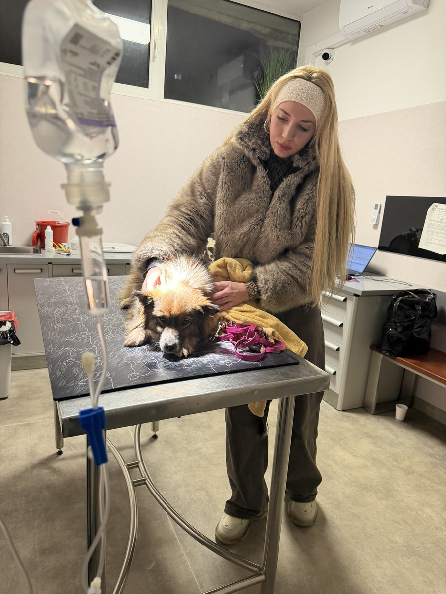 Marianna Schreiber tweet media