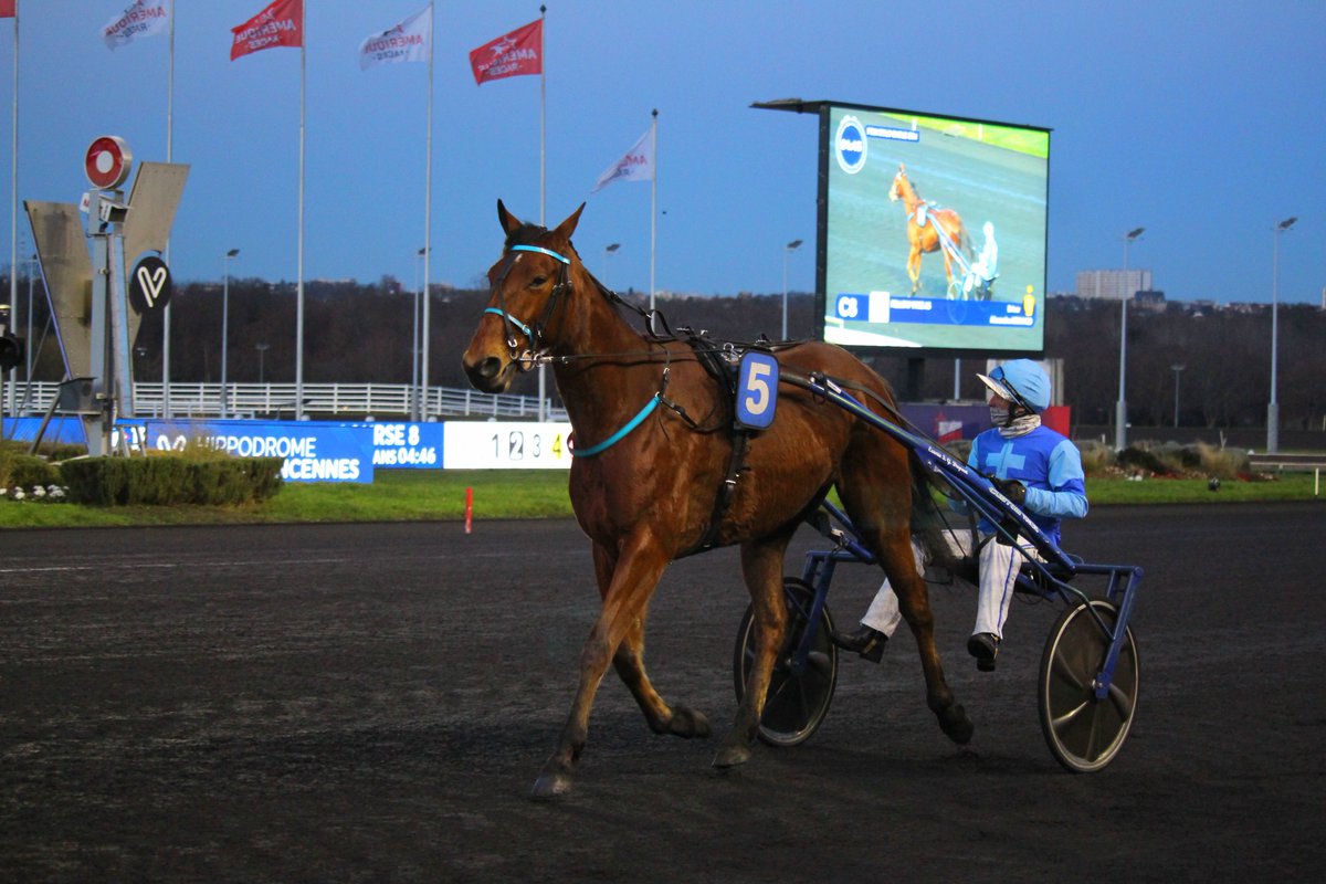 mondor44 tweet media