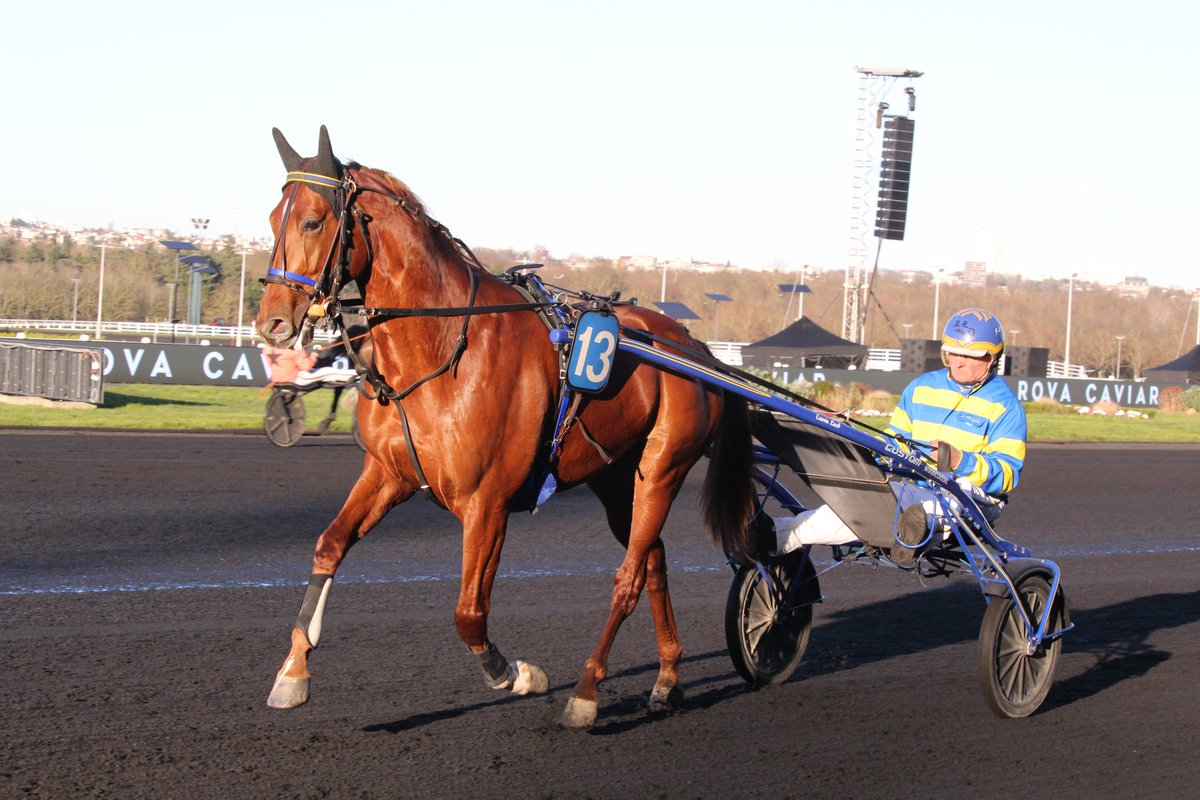 mondor44 tweet media