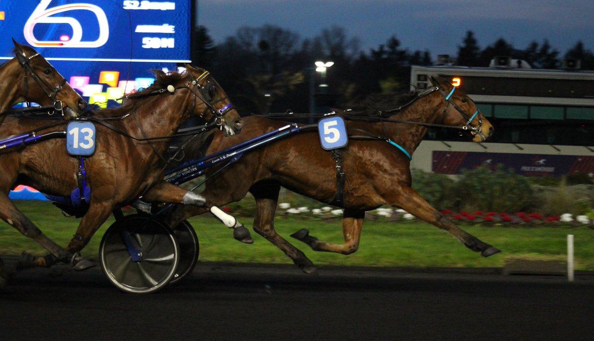 mondor44 tweet media