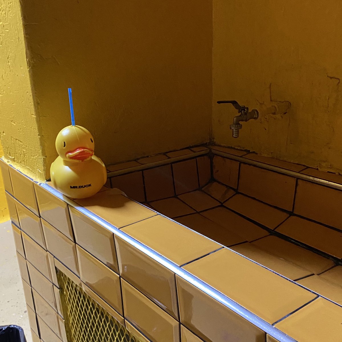 🐣