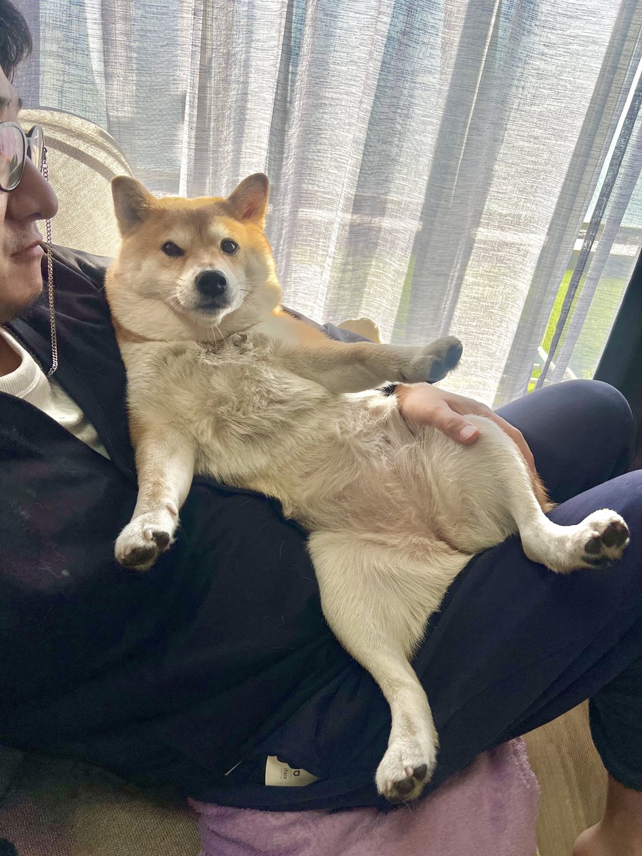 ひよこ様ついっち (@anohito_dareda) / Posts / X