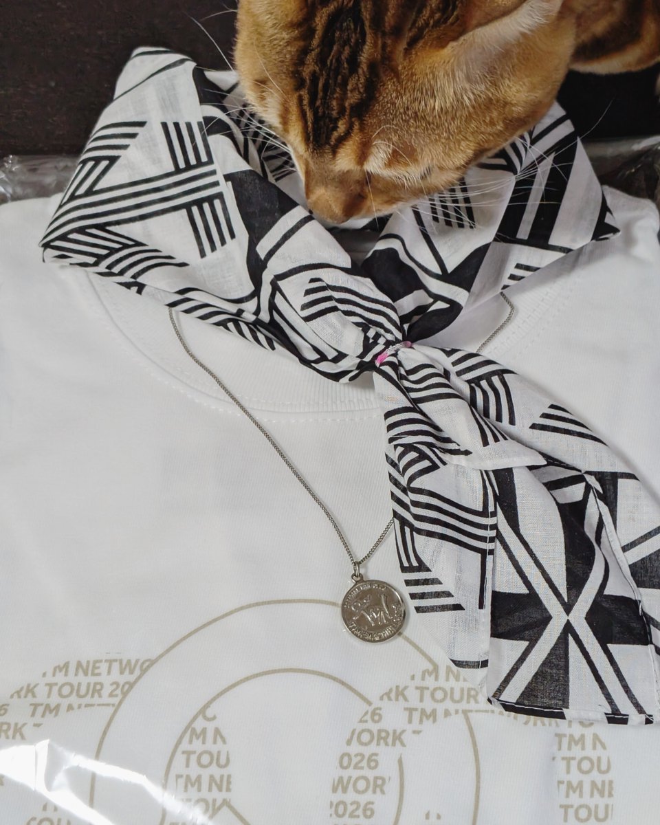 次はこんな感じもいいかなと思ってみたり🧣